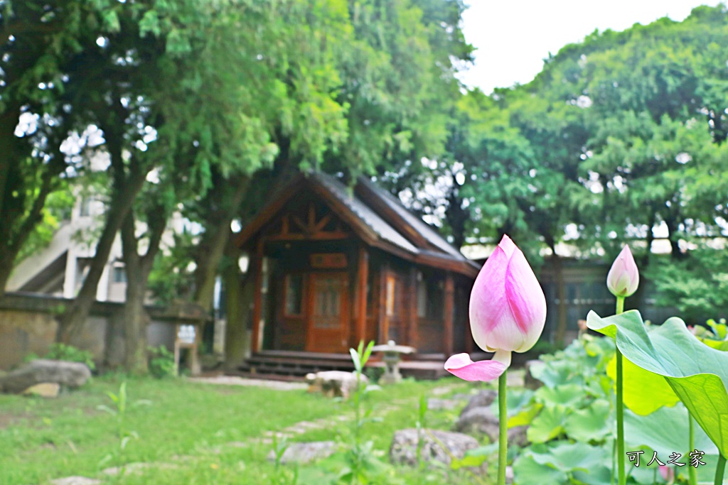 東南中學,雲林文昌國小