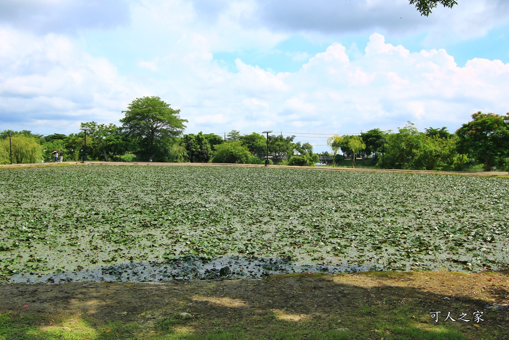 公園綠地,新增二層樓溜滑梯,景觀吊橋,無障礙設施,生態教育