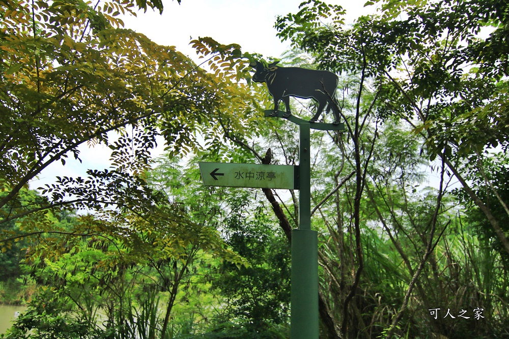 夢幻湖,牛埔泥岩水土保持教學園區