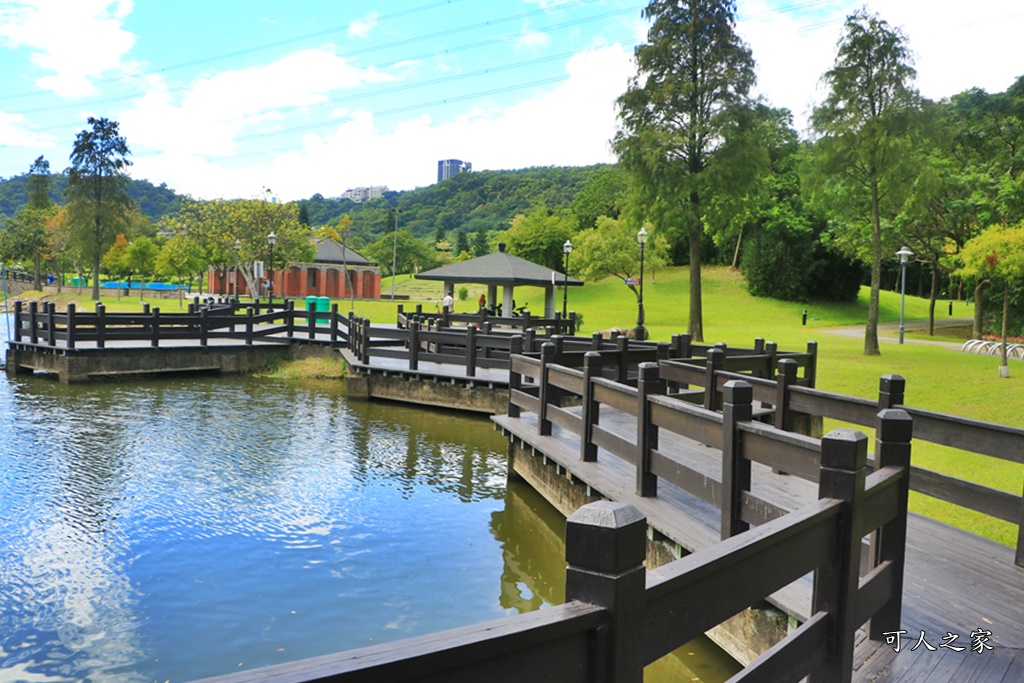 桃園大溪河濱公園,桃園落羽松