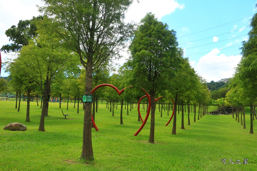 桃園大溪河濱公園,桃園落羽松