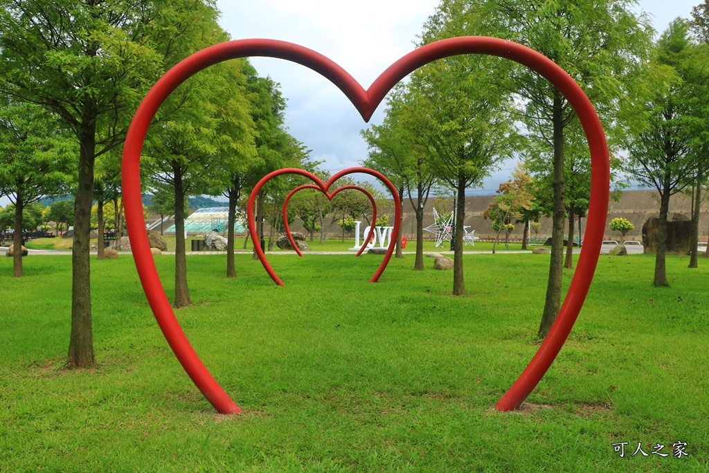 桃園大溪河濱公園,桃園落羽松