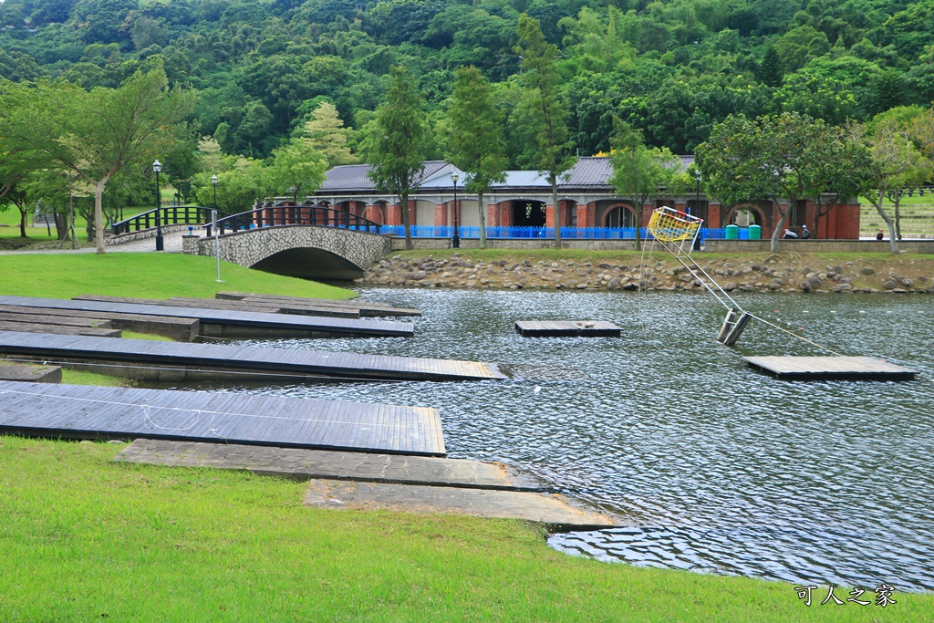 桃園大溪河濱公園,桃園落羽松