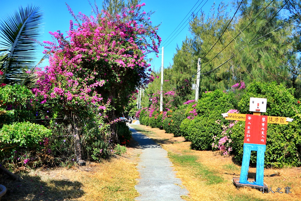 台南手工粉圓,台南景觀餐廳,台南美食,四草一日遊,四草搭船,四草美食餐廳,椰庭