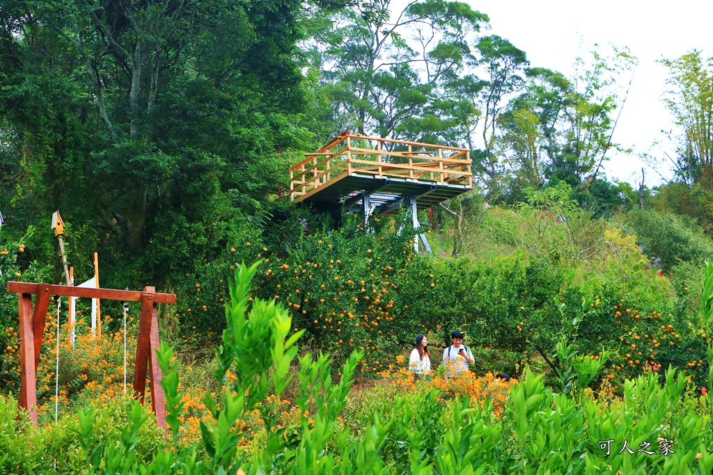 橘子隧道,澄香森林景觀餐廳,苗栗下午茶,苗栗優質餐廳,苗栗頭屋