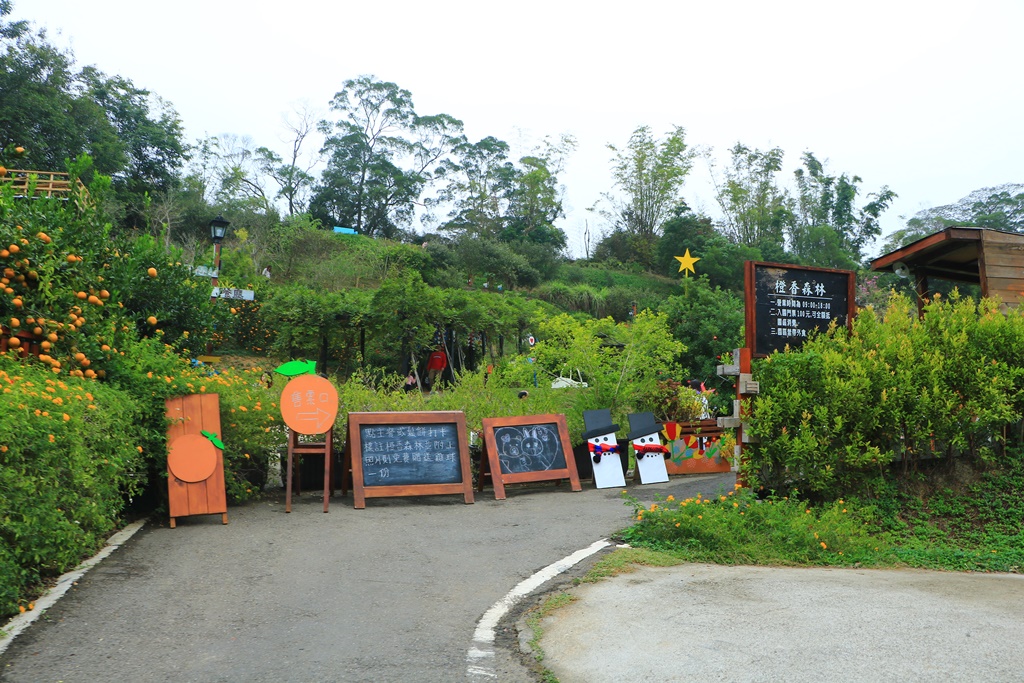 橘子隧道,澄香森林景觀餐廳,苗栗下午茶,苗栗優質餐廳,苗栗頭屋