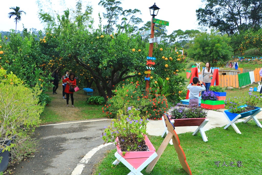 橘子隧道,澄香森林景觀餐廳,苗栗下午茶,苗栗優質餐廳,苗栗頭屋