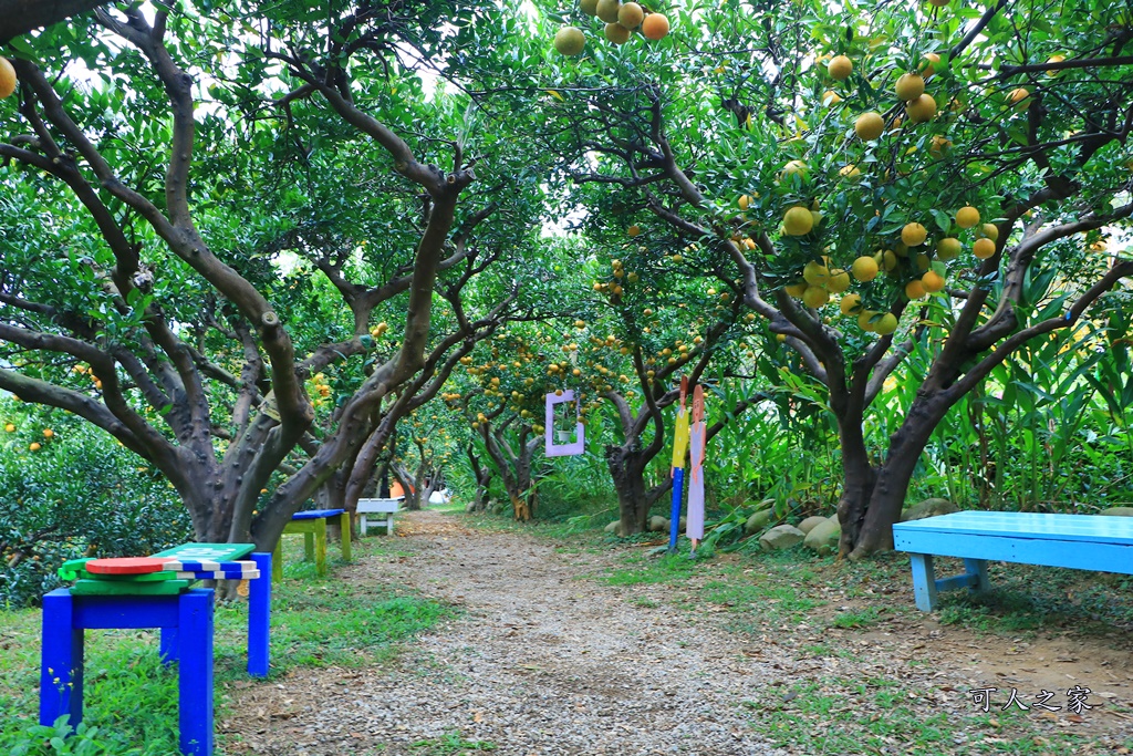 橘子隧道,澄香森林景觀餐廳,苗栗下午茶,苗栗優質餐廳,苗栗頭屋