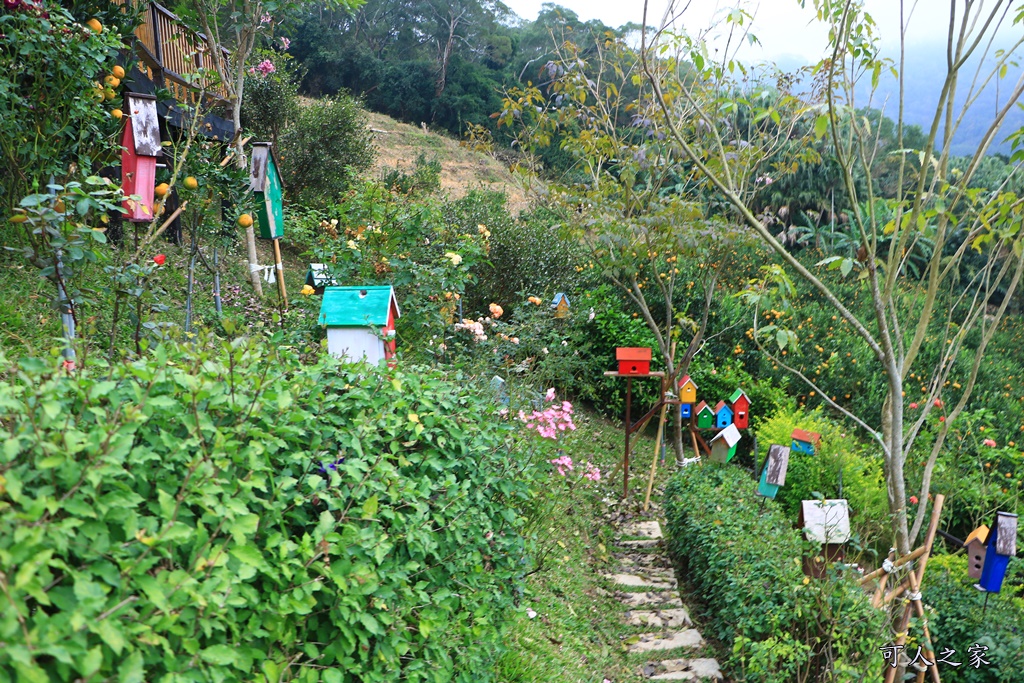 橘子隧道,澄香森林景觀餐廳,苗栗下午茶,苗栗優質餐廳,苗栗頭屋