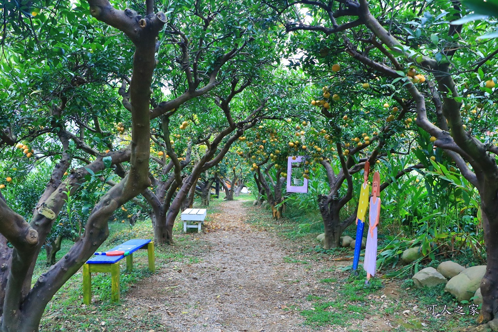 橘子隧道,澄香森林景觀餐廳,苗栗下午茶,苗栗優質餐廳,苗栗頭屋