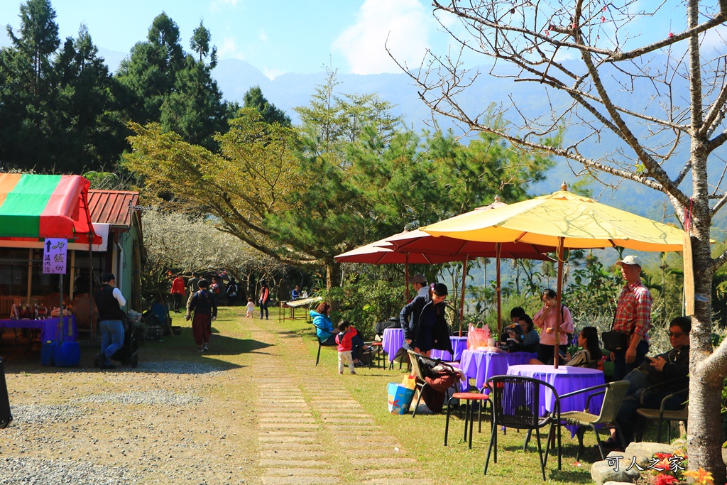 2020石家梅園,烏松崙石家梅園