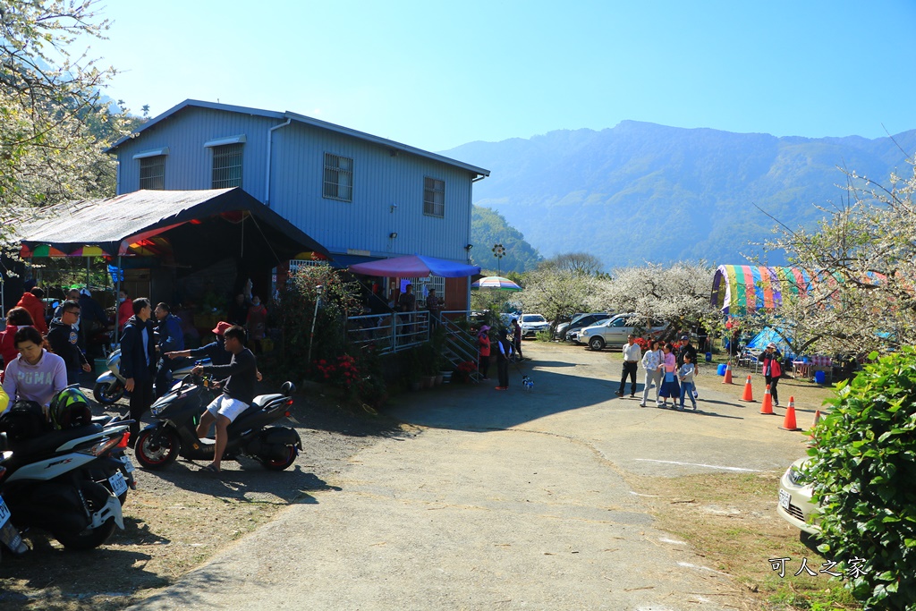 石龜梅園,石龜露營區