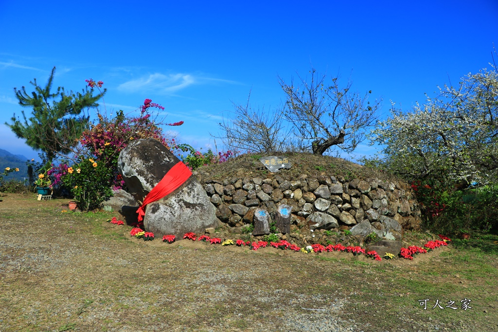 石龜梅園,石龜露營區