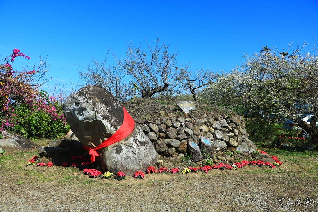 石龜梅園,石龜露營區