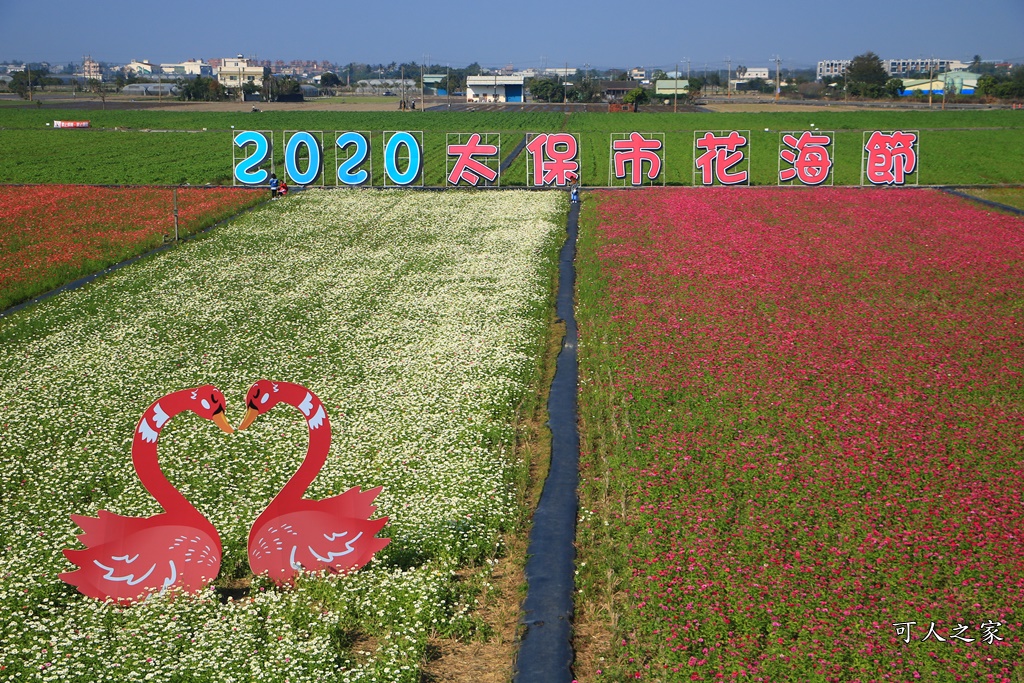 2020太保花海,嘉義免費景點,嘉義春節景點,嘉義景點