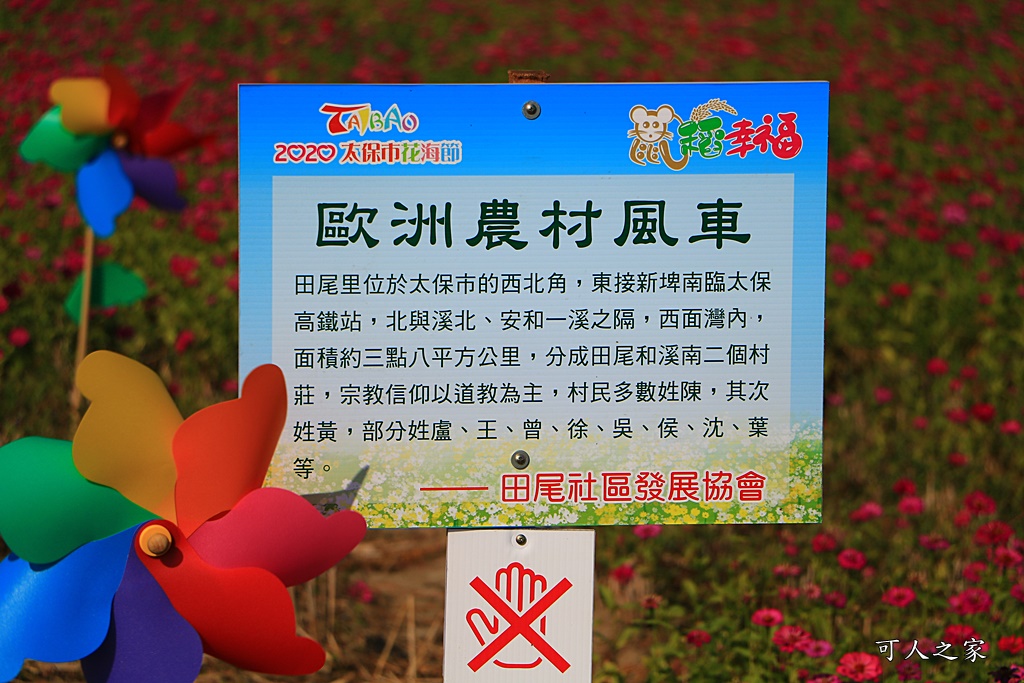 2020太保花海,嘉義免費景點,嘉義春節景點,嘉義景點