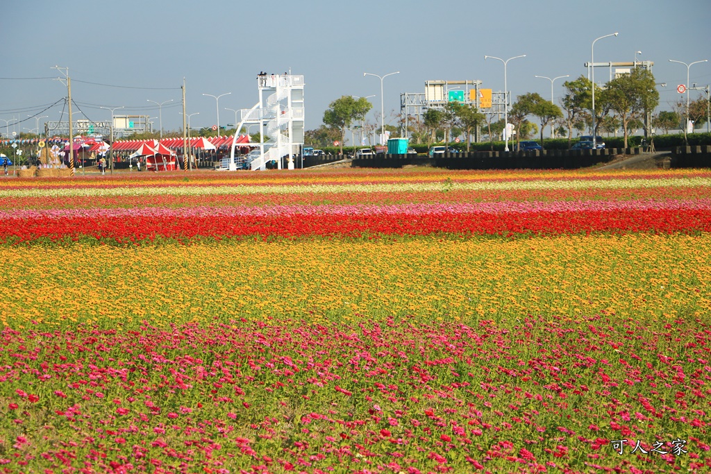 2020太保花海,嘉義免費景點,嘉義春節景點,嘉義景點