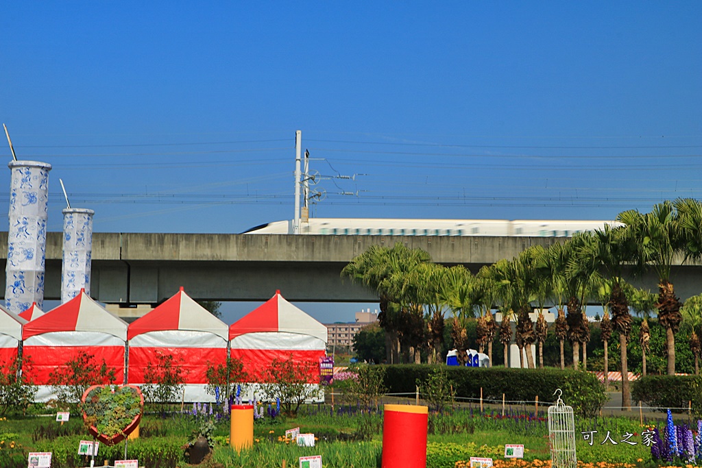 2020彰化溪洲,彰化溪洲公園,彰化花在彰化