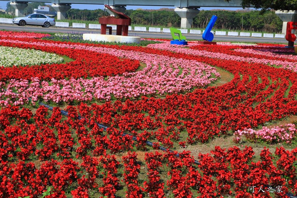 2020彰化溪洲,彰化溪洲公園,彰化花在彰化