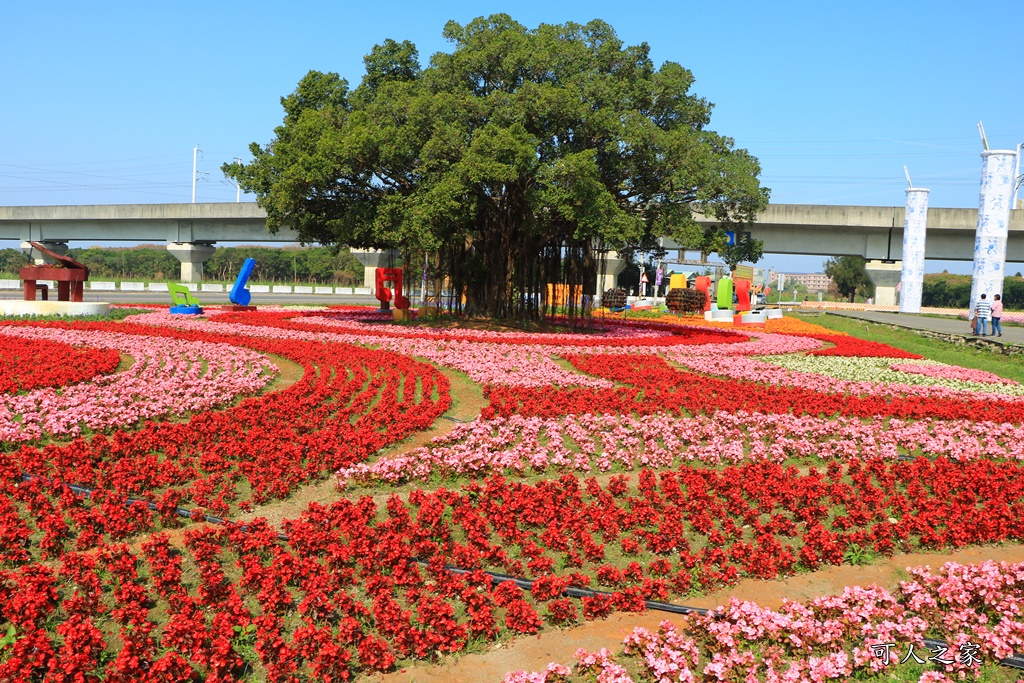 2020彰化溪洲,彰化溪洲公園,彰化花在彰化