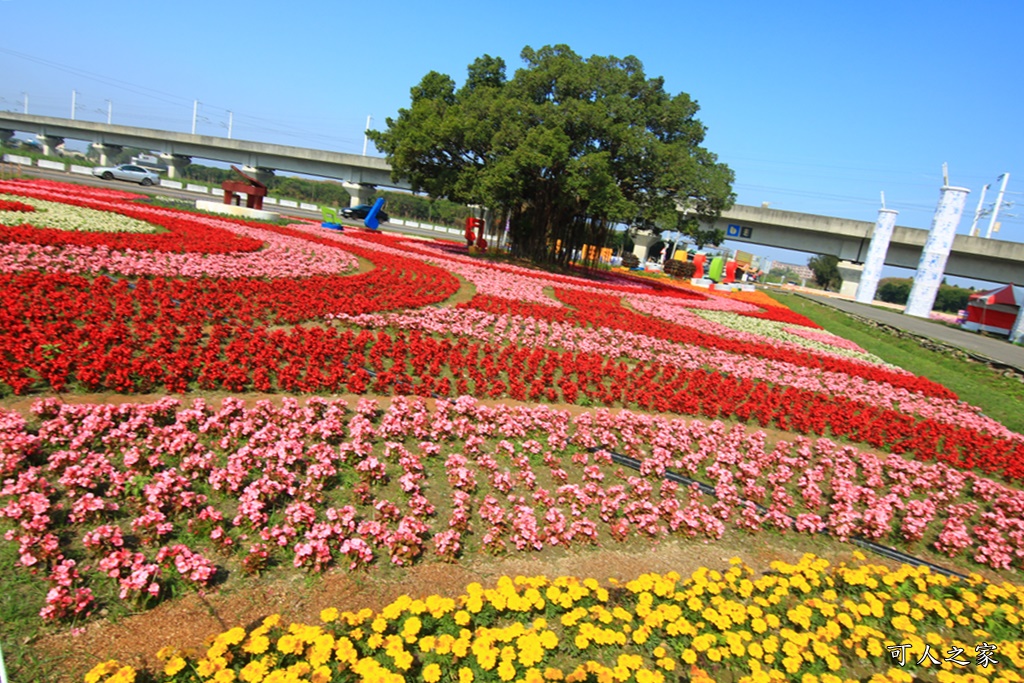 2020彰化溪洲,彰化溪洲公園,彰化花在彰化