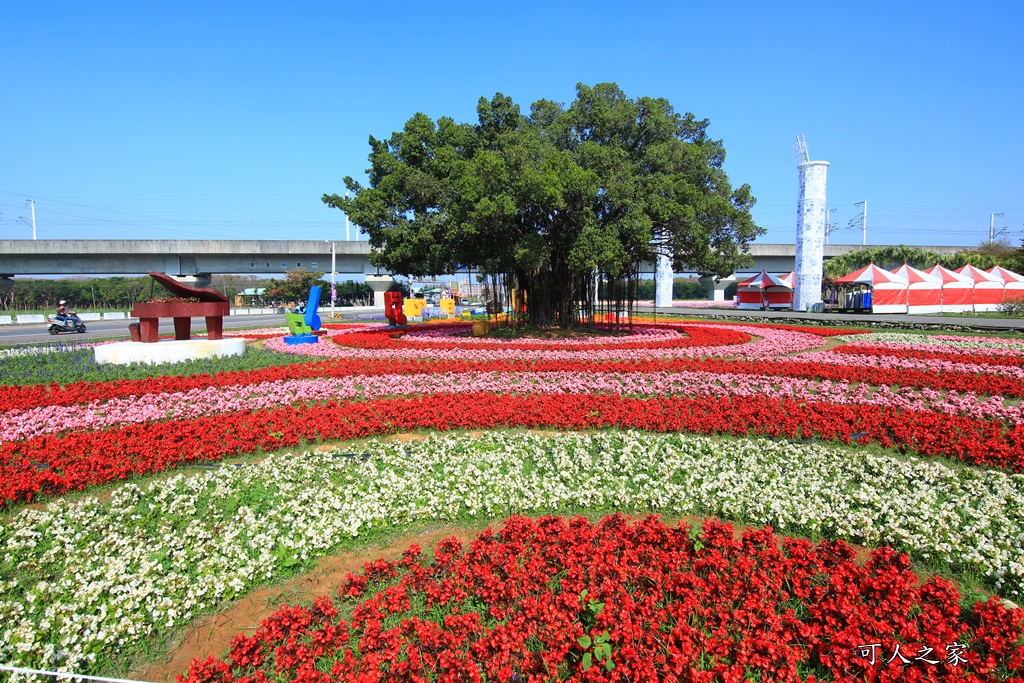 2020彰化溪洲,彰化溪洲公園,彰化花在彰化