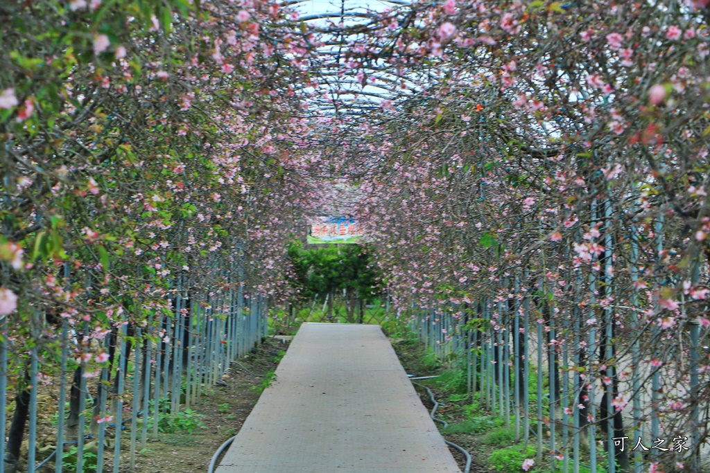 2020芬園花卉生產休憩園區