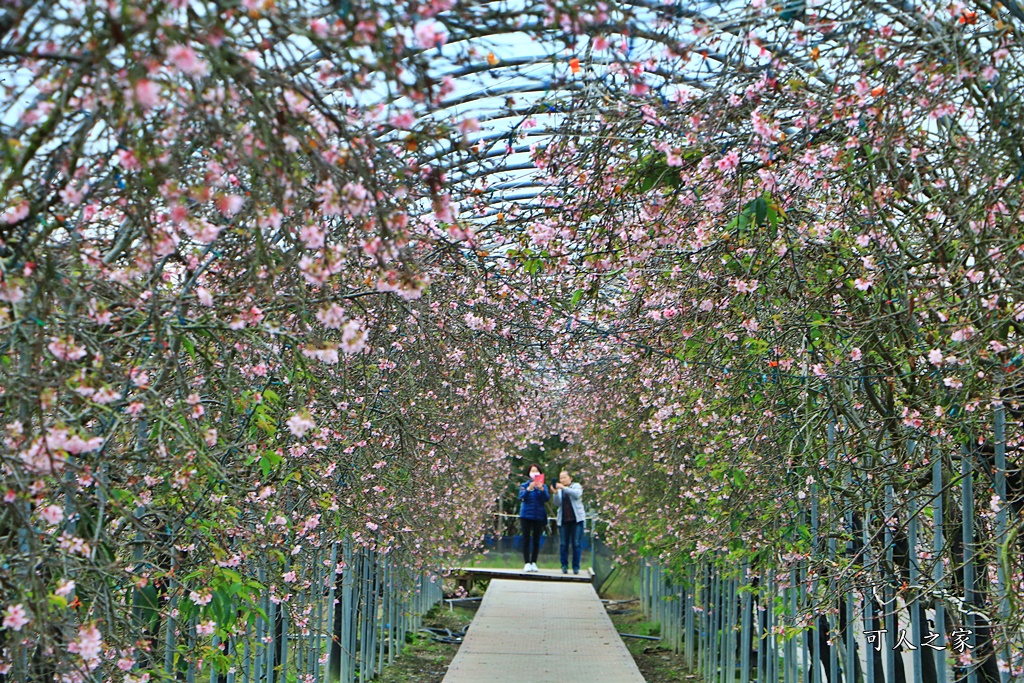 2020芬園花卉生產休憩園區