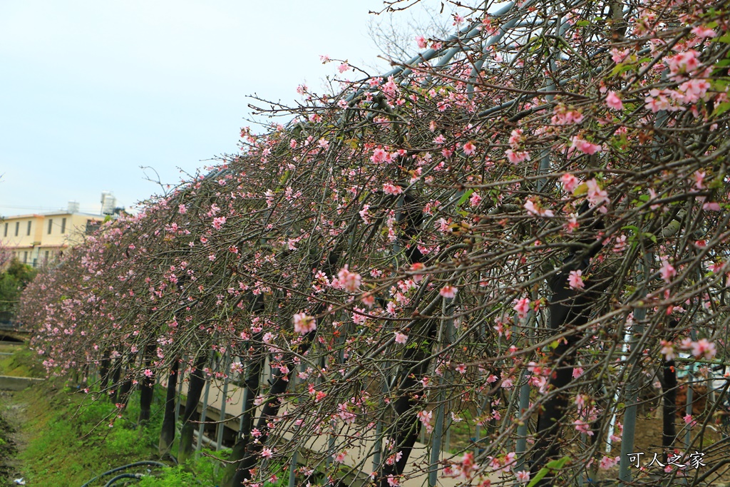 2020芬園花卉生產休憩園區