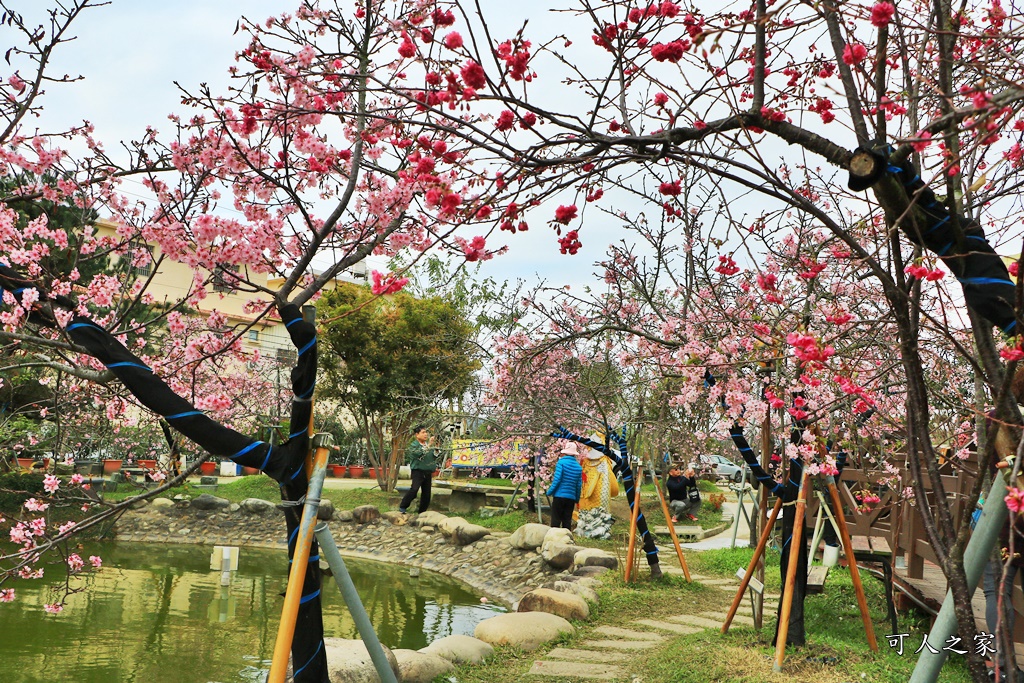 2020芬園花卉生產休憩園區