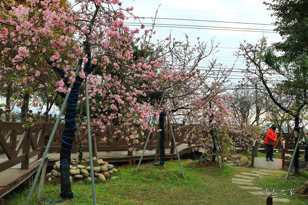 2020芬園花卉生產休憩園區