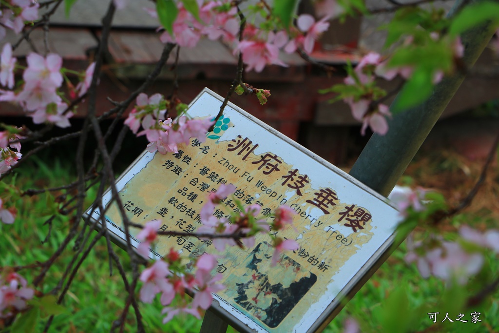 2020芬園花卉生產休憩園區