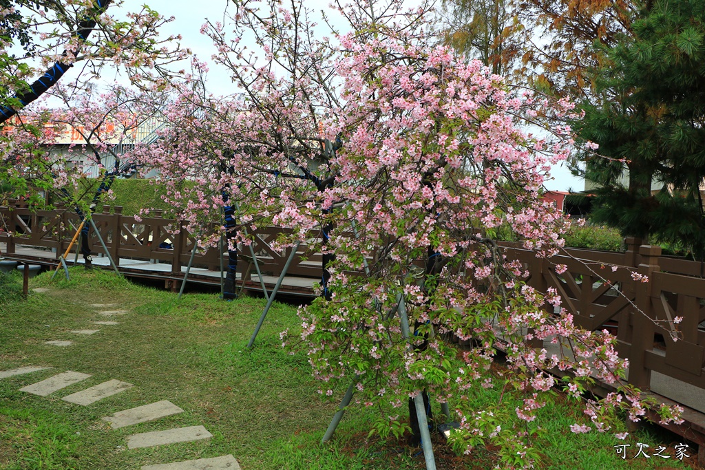 2020芬園花卉生產休憩園區