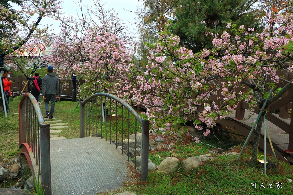 2020芬園花卉生產休憩園區