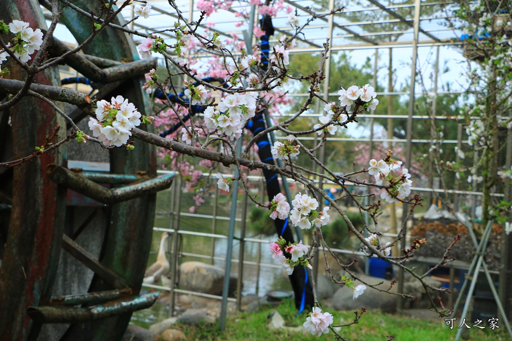 2020芬園花卉生產休憩園區