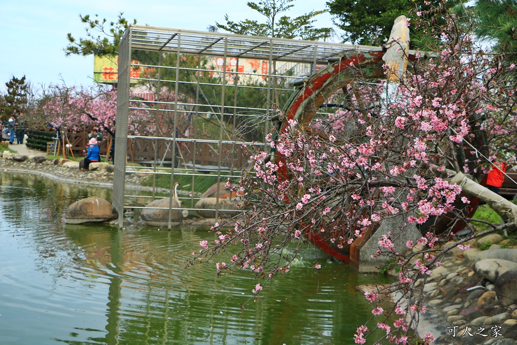 2020芬園花卉生產休憩園區