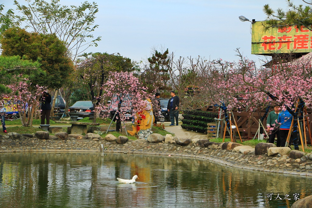 2020芬園花卉生產休憩園區