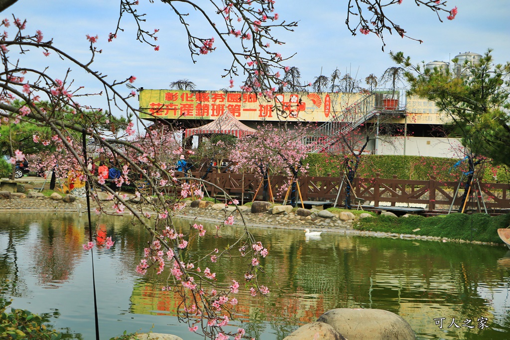 2020芬園花卉生產休憩園區