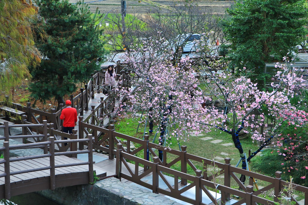 2020芬園花卉生產休憩園區