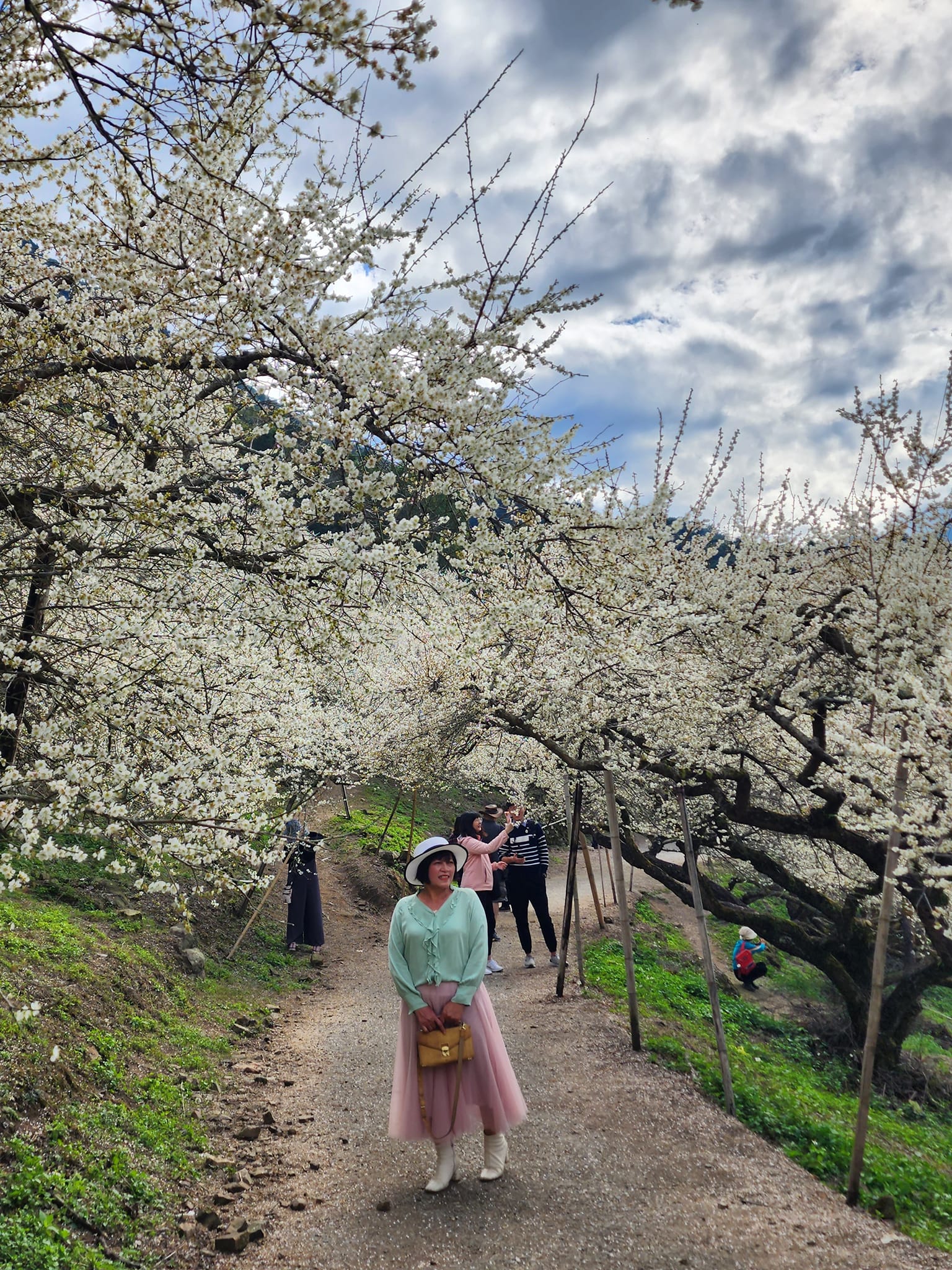 2020蔡家梅園,南投信義賞梅,外坪頂梅花,季節性花景,蔡家古厝,蔡家怎麼去？