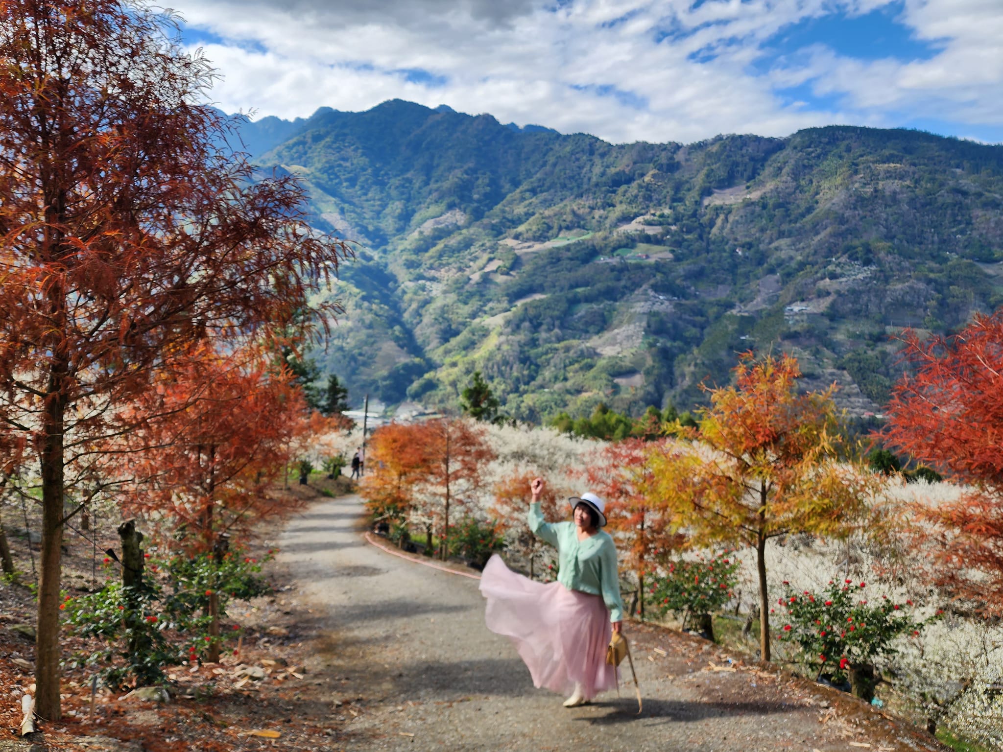 2020蔡家梅園,南投信義賞梅,外坪頂梅花,季節性花景,蔡家古厝,蔡家怎麼去？