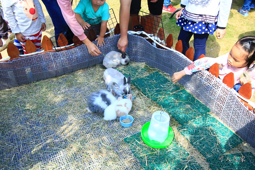 可餵小兔子,屏東最新景點,新埤景點,精靈谷,艾米達精靈谷茶樹莊園