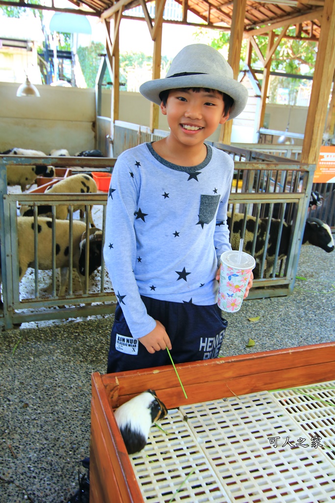 動物園,吊床鞦韆,淨園農場,長頸鹿玩沙遊具組,高雄景點,鹿の森祕境野餐