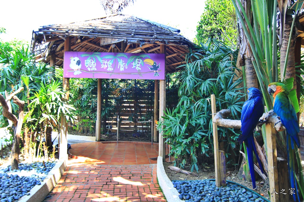 動物園,吊床鞦韆,淨園農場,長頸鹿玩沙遊具組,高雄景點,鹿の森祕境野餐