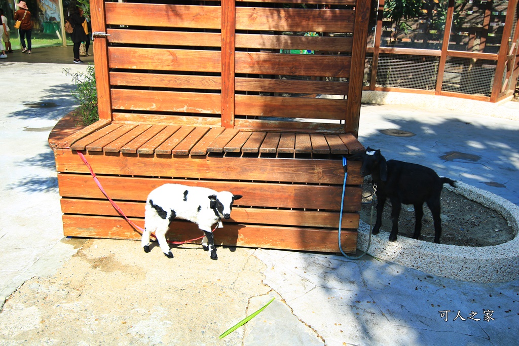 動物園,吊床鞦韆,淨園農場,長頸鹿玩沙遊具組,高雄景點,鹿の森祕境野餐