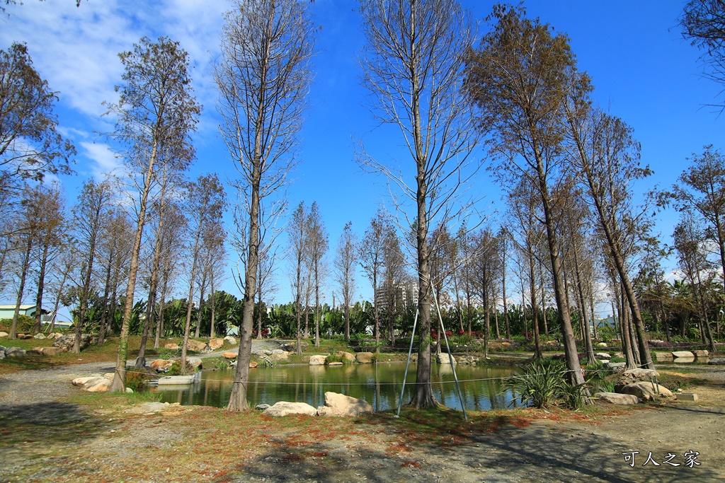 動物園,吊床鞦韆,淨園農場,長頸鹿玩沙遊具組,高雄景點,鹿の森祕境野餐