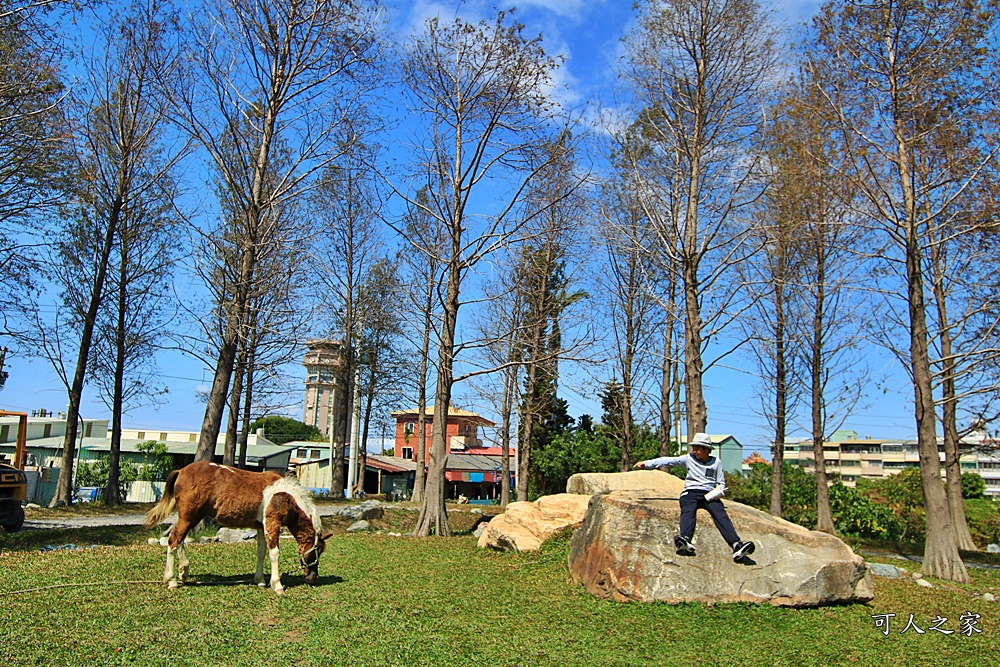 動物園,吊床鞦韆,淨園農場,長頸鹿玩沙遊具組,高雄景點,鹿の森祕境野餐