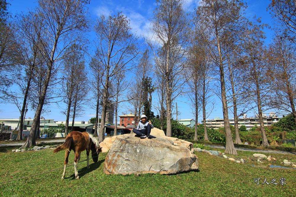 動物園,吊床鞦韆,淨園農場,長頸鹿玩沙遊具組,高雄景點,鹿の森祕境野餐