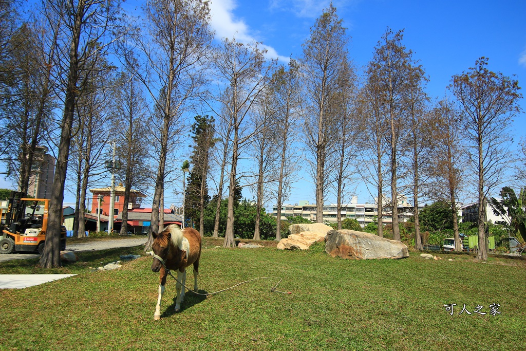 動物園,吊床鞦韆,淨園農場,長頸鹿玩沙遊具組,高雄景點,鹿の森祕境野餐