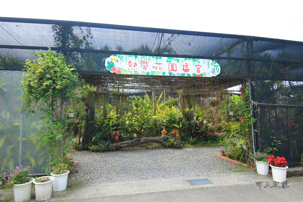 雲林一日遊,雲林古坑一日遊,雲林景觀餐廳,雲林景點,雲林桂林